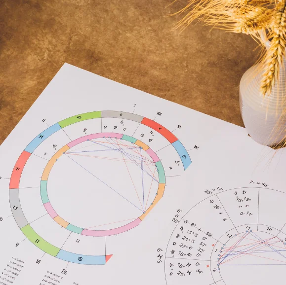 Doğum Haritası Analizi – Astrolog Şehmus Pala